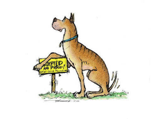 Great Dane Rescue Inc