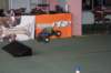 img_4894_small.jpg