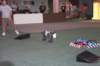 img_5439_small.jpg