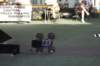 img_5455_small.jpg